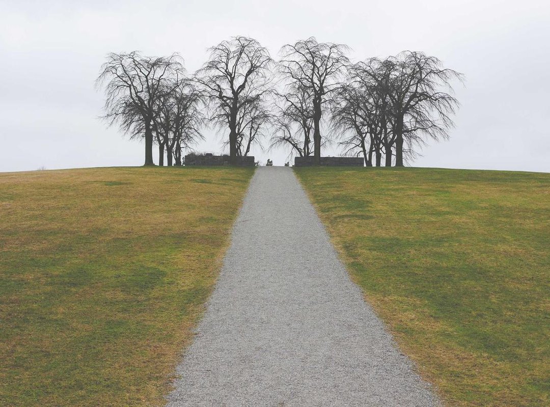 The Double-Edged Sword: Navigating Privacy and Public Scrutiny