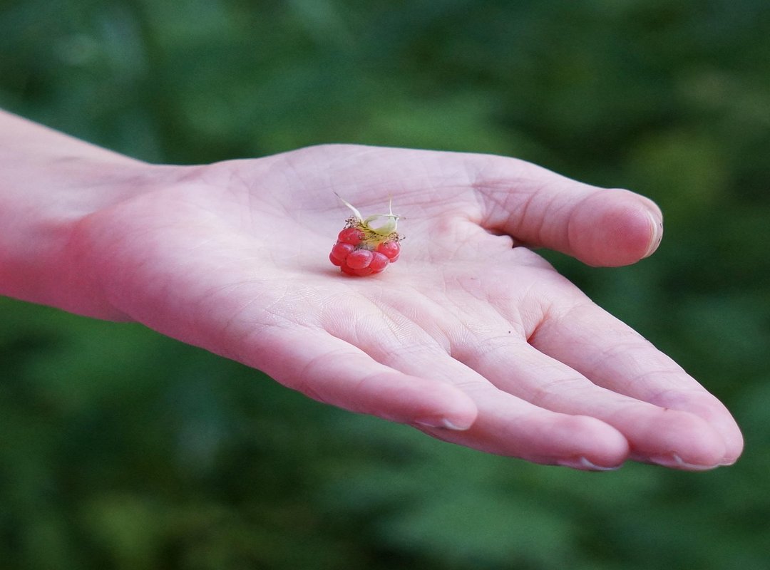 Steps to Take If You're Affected by a Leak