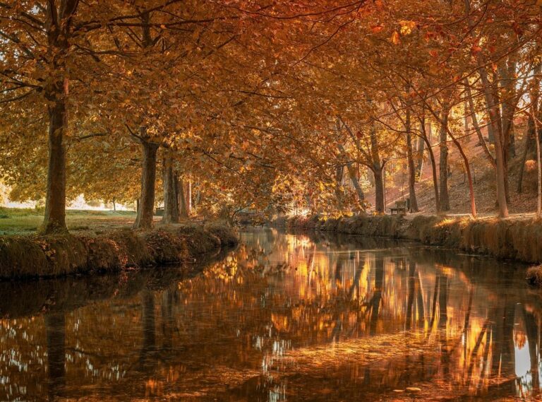 quiniela confiable de hoy